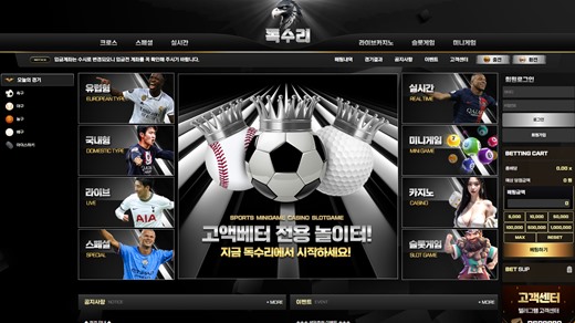 독수리 먹튀