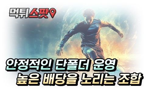 다폴더 기본 전략 조합 공식 배우기