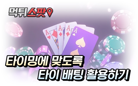 바카라 타이 배팅 운영 노하우