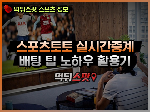 스포츠 중계 활용한 토토 승률 높이기