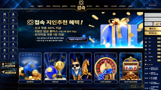 접속 먹튀