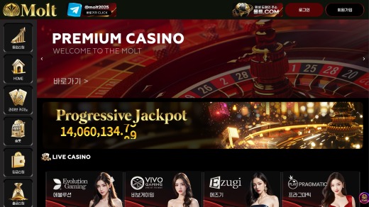몰트카지노(Molt Casino) 먹튀