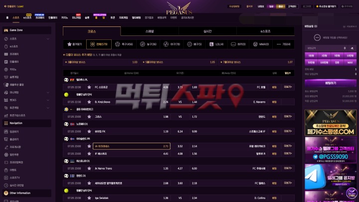 페가수스 후기