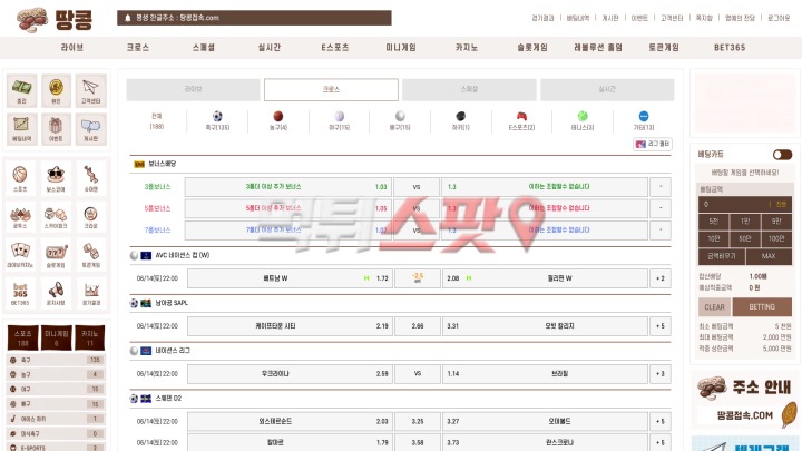 땅콩 후기