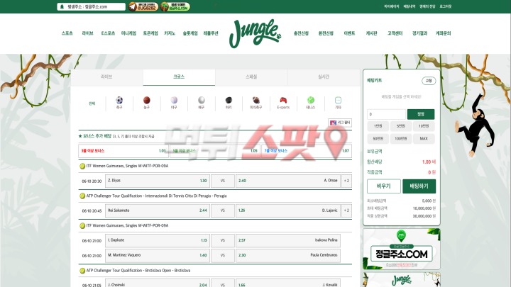 정글 후기