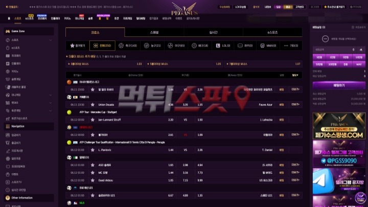페가수스 후기