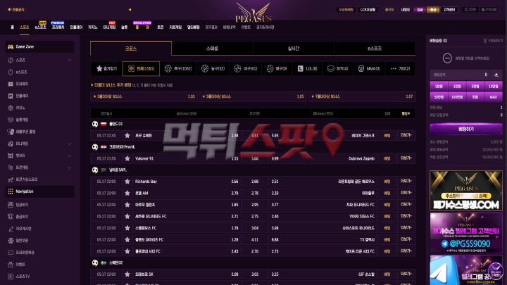 페가수스 후기